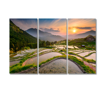 Rice Terraces at Sunset Japan Canvas Print-Canvas Print-CetArt-3 Panels-36x24 inches-CetArt