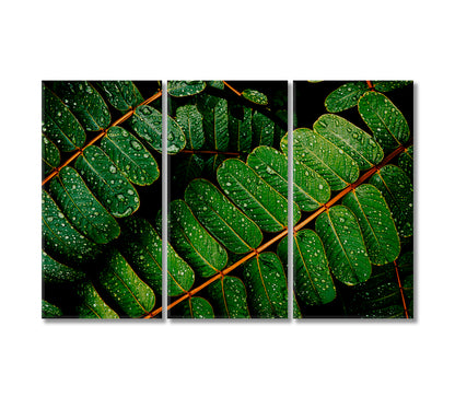 Green Leaves with Water Drops Canvas Print-Canvas Print-CetArt-3 Panels-36x24 inches-CetArt