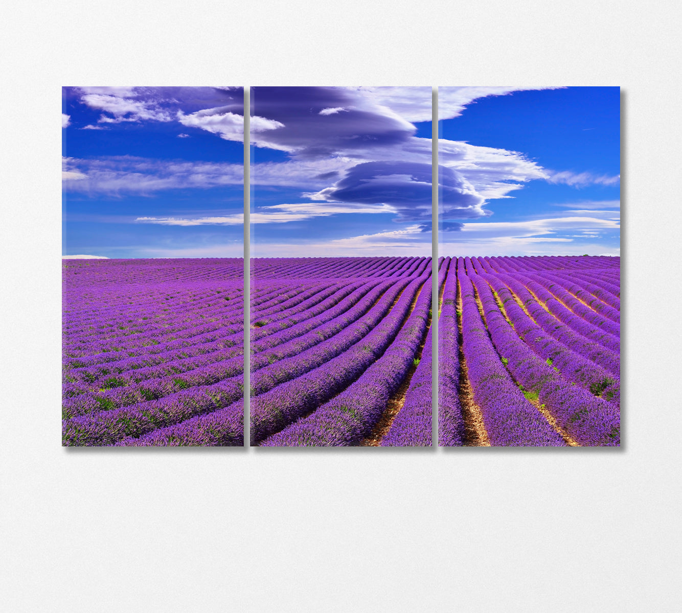 Lavender Field in France Canvas Print-Canvas Print-CetArt-3 Panels-36x24 inches-CetArt