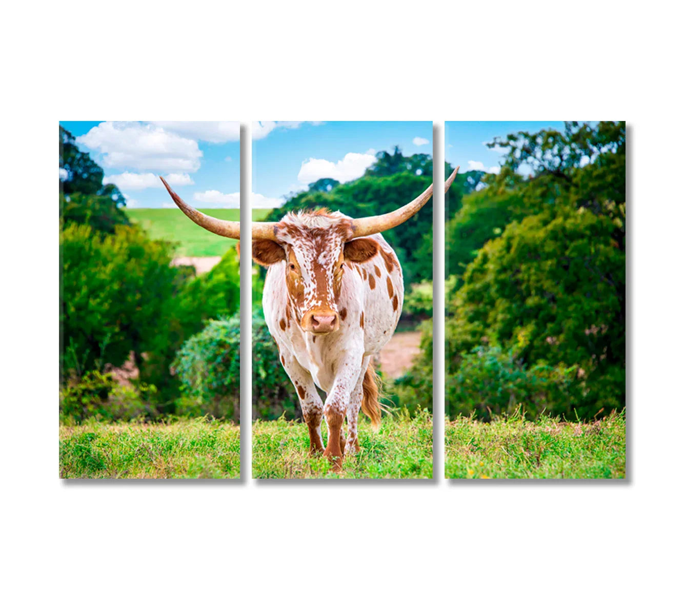 Texas Longhorn cattle canvas print in summer pasture, three-panel layout, bright sky and green trees