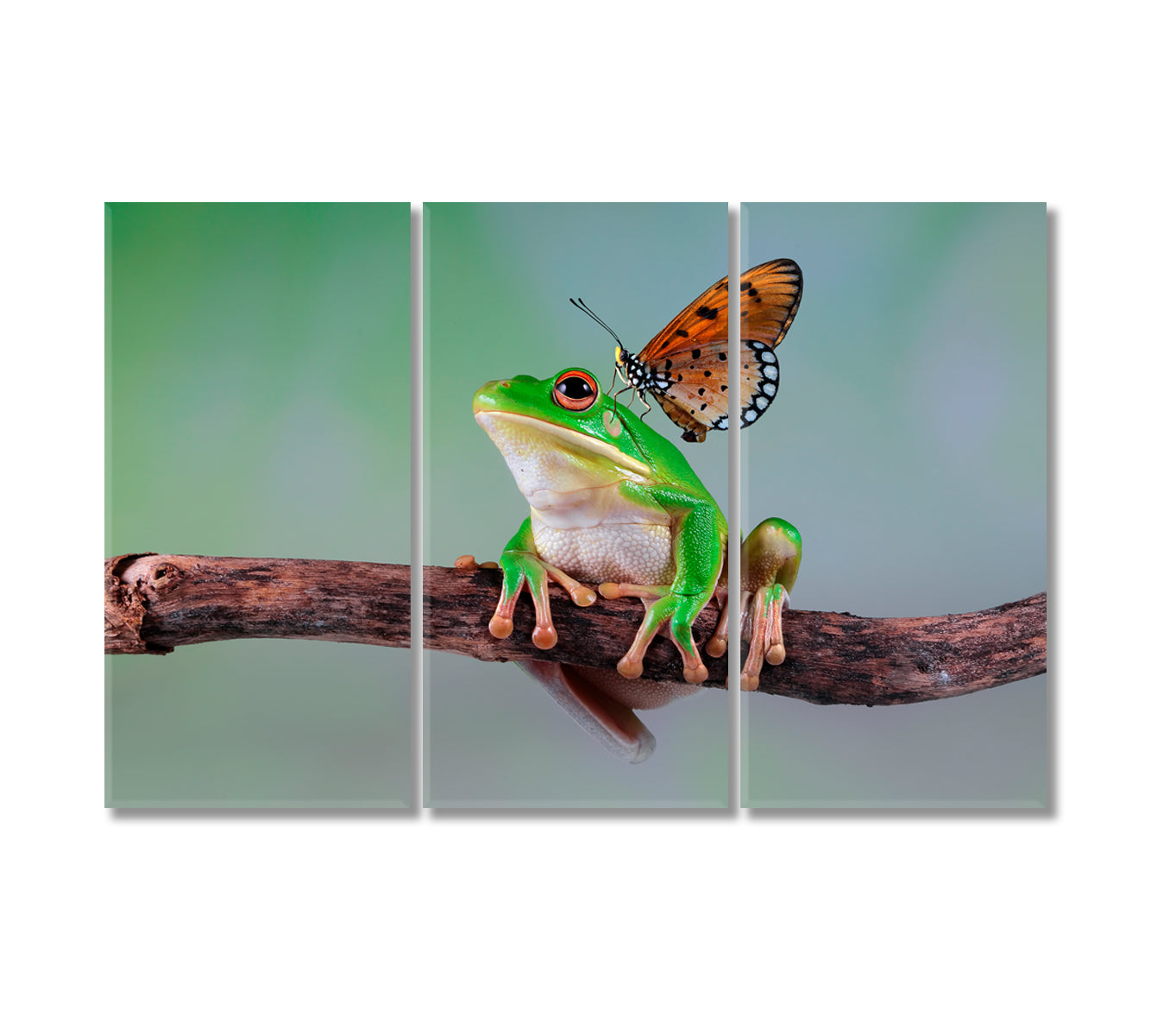 Cute Frog with Butterfly Canvas Print-Canvas Print-CetArt-3 Panels-36x24 inches-CetArt