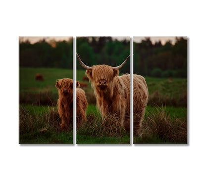 Highland Cow Mother and Calf In a Field Canvas Print-Canvas Print-CetArt-3 Panels-36x24 inches-CetArt