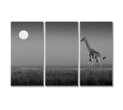 Giraffe in Masai Mara Black and White Canvas Print-Canvas Print-CetArt-1 Panel-24x16 inches-CetArt