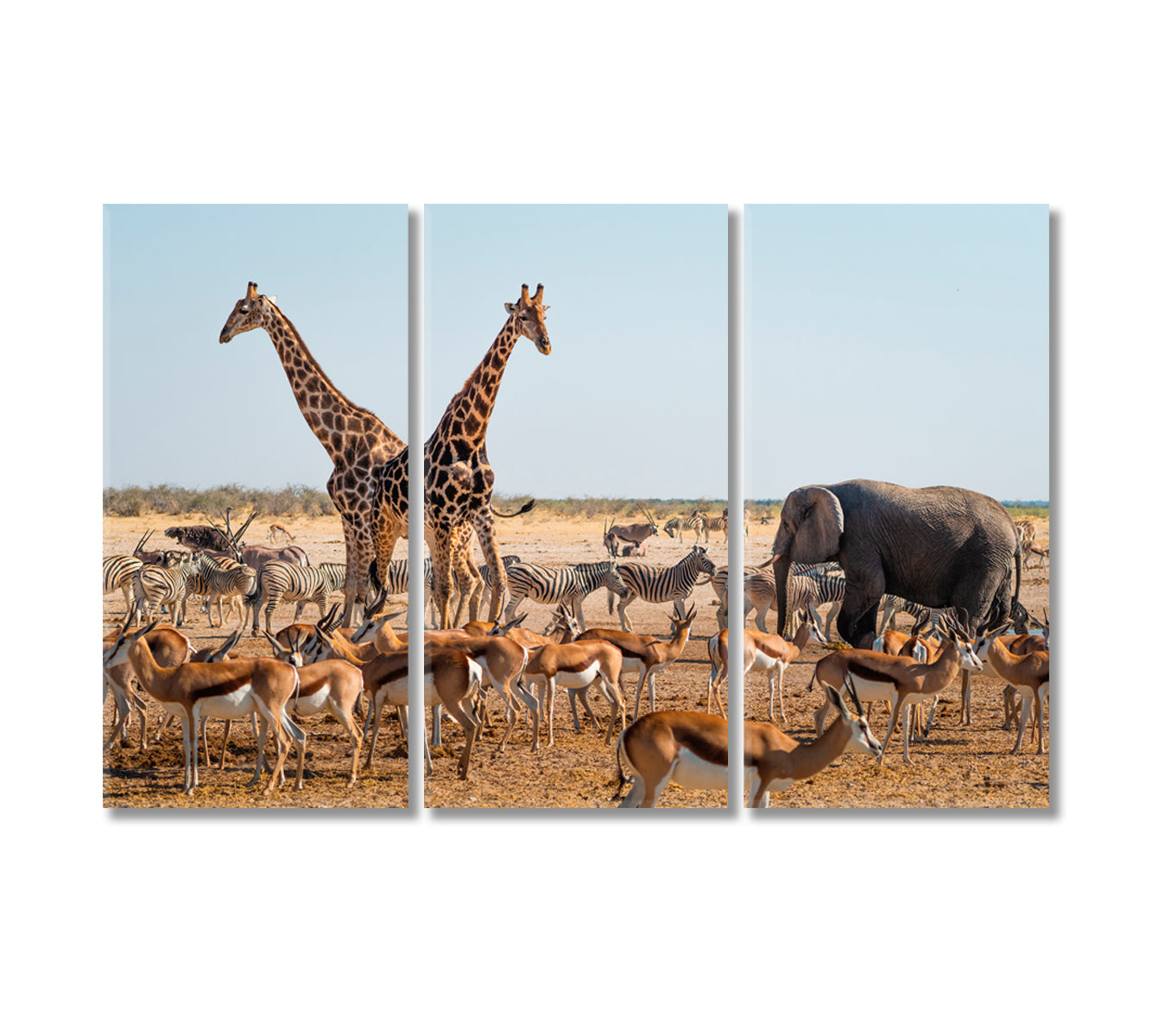 Wild Animals Around Waterhole in Etosha National Park Namibia Africa Canvas Print-Canvas Print-CetArt-3 Panels-36x24 inches-CetArt
