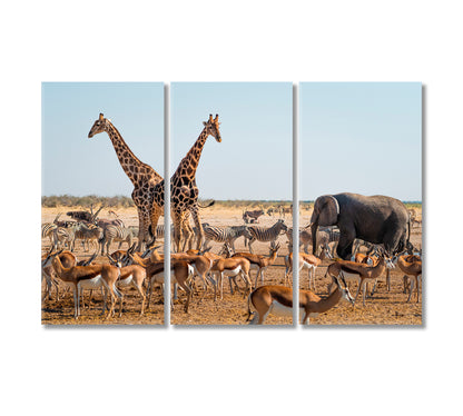 Wild Animals Around Waterhole in Etosha National Park Namibia Africa Canvas Print-Canvas Print-CetArt-3 Panels-36x24 inches-CetArt