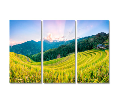 Rice Fields Hoang Su Phi Country North Vietnam Canvas Print-Canvas Print-CetArt-3 Panels-36x24 inches-CetArt