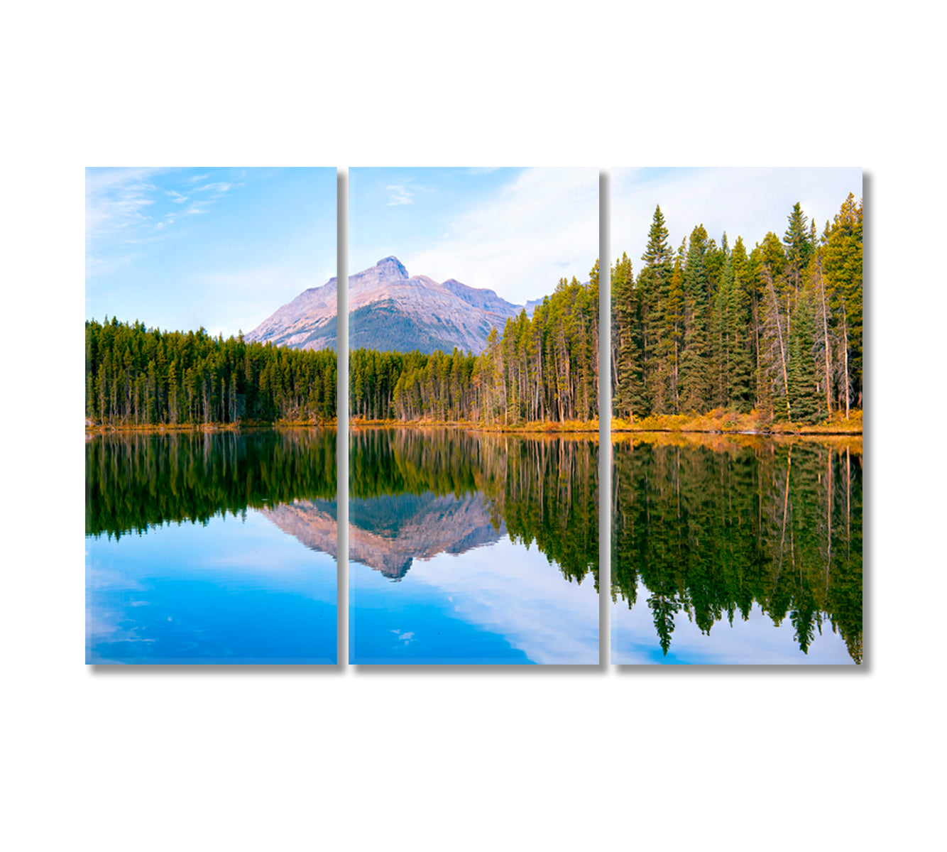 Forest Reflection at Herbert lake Jasper National Park Alberta Canada Canvas Print-Canvas Print-CetArt-3 Panels-36x24 inches-CetArt