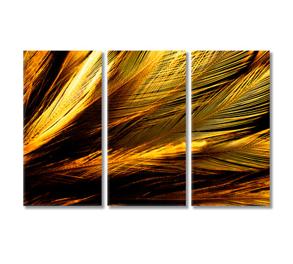 Beautiful Abstract Feathers Canvas Print-Canvas Print-CetArt-3 Panels-36x24 inches-CetArt