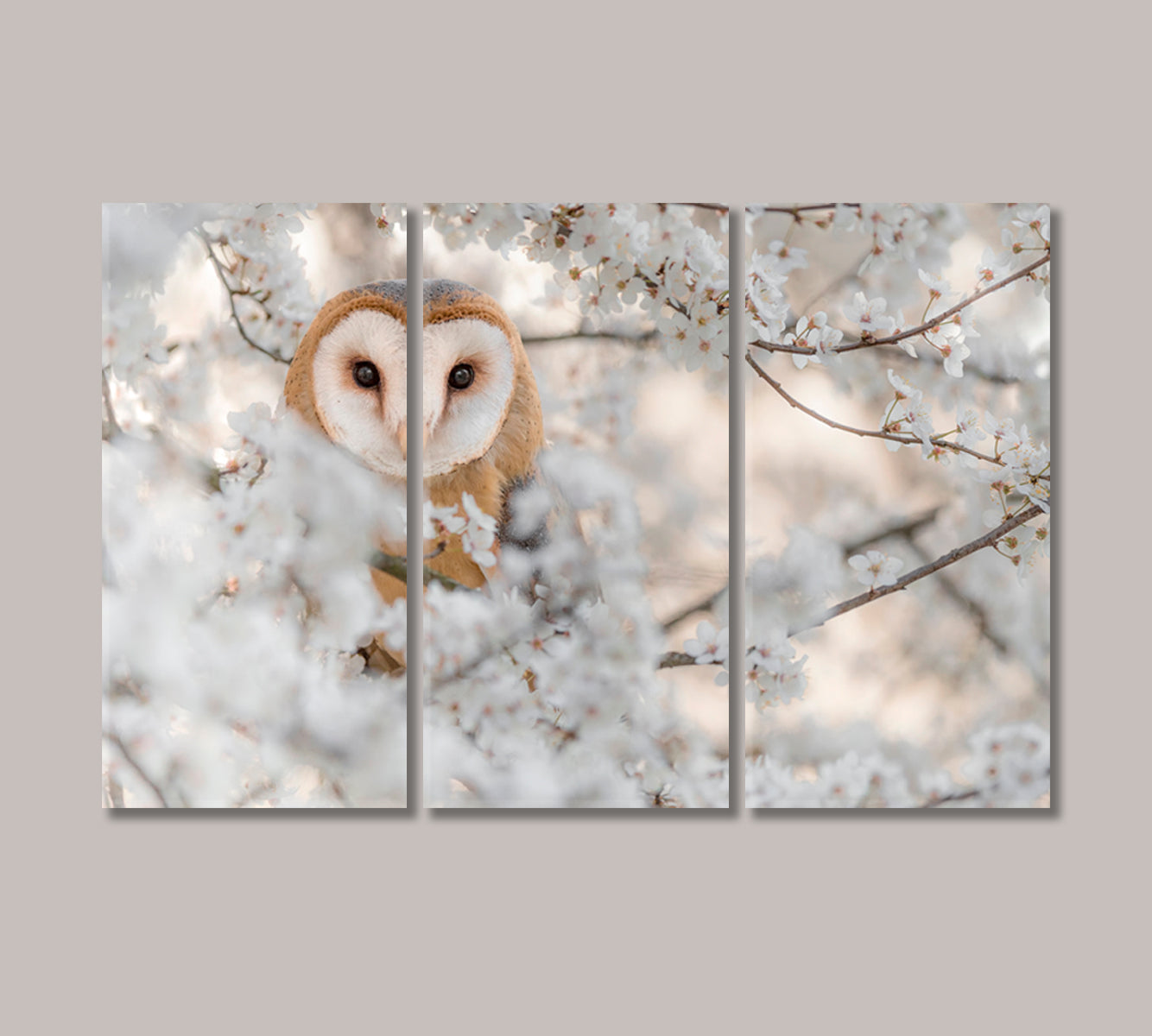 Bird Barn Owl on Blooming Cherry Canvas Print-Canvas Print-CetArt-3 Panels-36x24 inches-CetArt