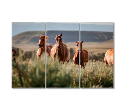 Beautiful American Horses Herd Wyoming Canvas Print-Canvas Print-CetArt-3 Panels-36x24 inches-CetArt