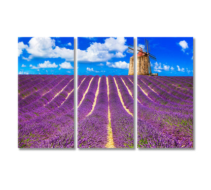 Blooming Lavender Fields Provence France Canvas Print-CetArt-3 Panels-36x24 inches-CetArt