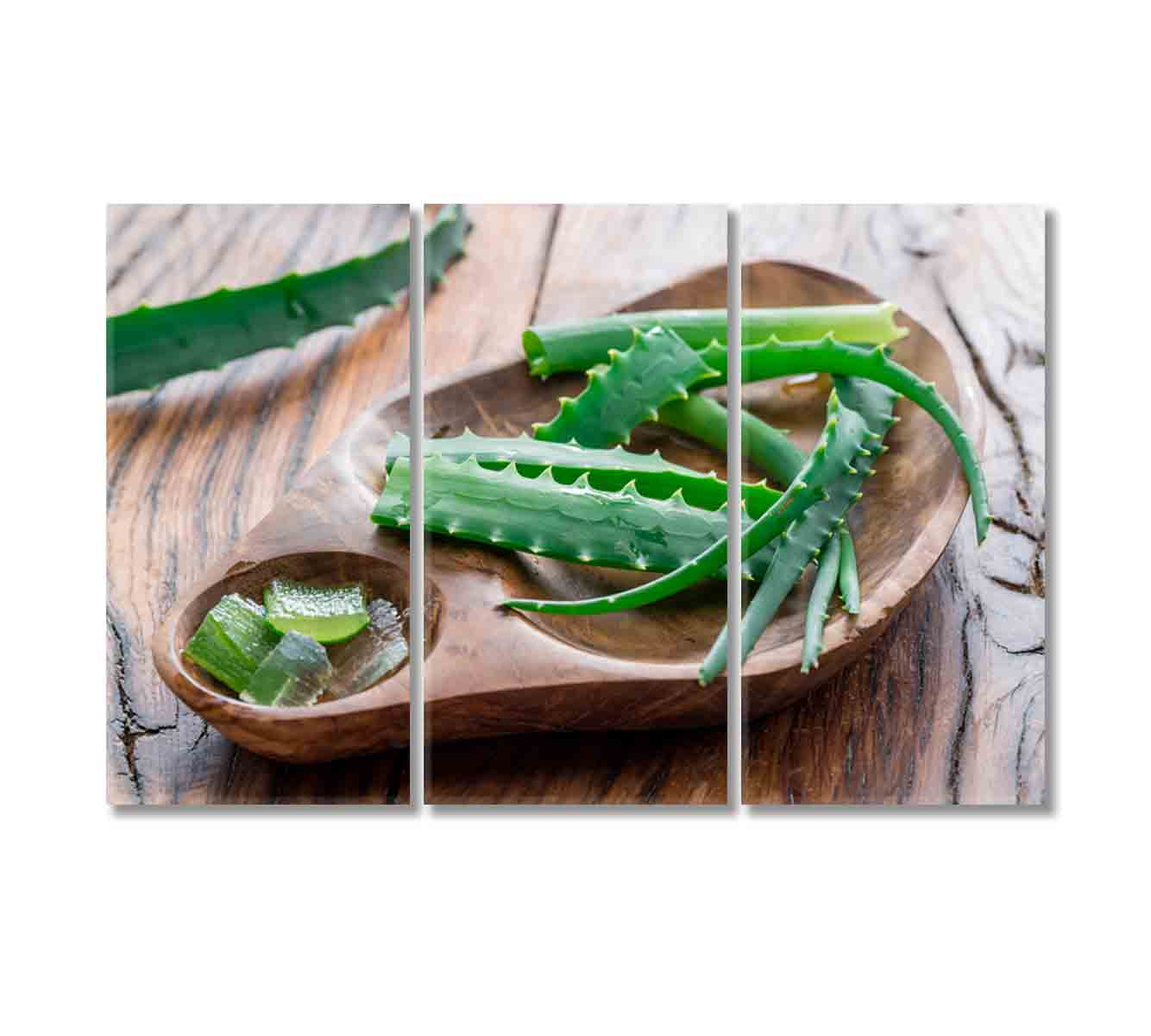 Aloe Fresh Leaves Canvas Print-Canvas Print-CetArt-3 Panels-36x24 inches-CetArt