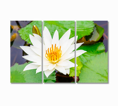 White Lotus Flower Canvas Print-Canvas Print-CetArt-3 Panels-36x24 inches-CetArt