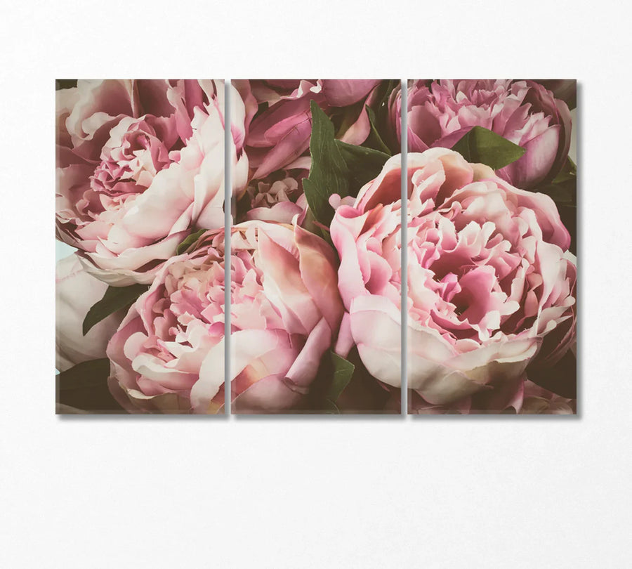 Delicate Peonies Canvas Print, triptych