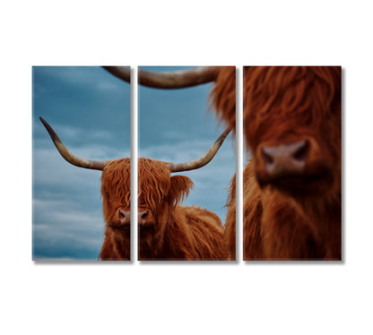 Portrait Of A Highland Cow Canvas Print-Canvas Print-CetArt-3 Panels-36x24 inches-CetArt