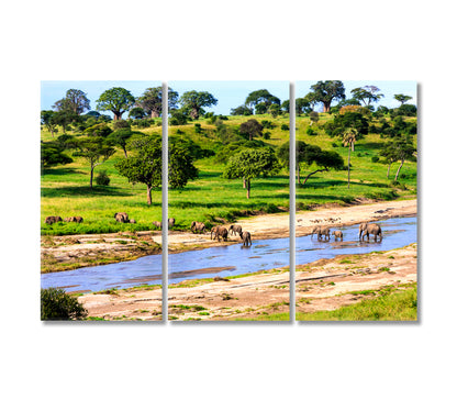 Elephants Cross River in Serengeti National Park Tanzania Africa Canvas Print-Canvas Print-CetArt-3 Panels-36x24 inches-CetArt