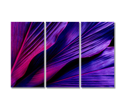 Purple Tropical Leaves Canvas Print-Canvas Print-CetArt-3 Panels-36x24 inches-CetArt