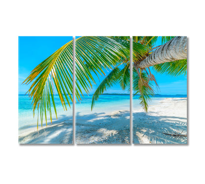 White Sandy Beach with Coconut Tree Canvas Print-Canvas Print-CetArt-3 Panels-36x24 inches-CetArt