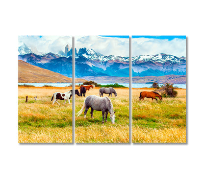Herd of Wild Horses in Torres del Paine Park in Chile Canvas Print-Canvas Print-CetArt-3 Panels-36x24 inches-CetArt
