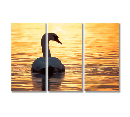 Swan on Lake at Golden Sunset Canvas Print-Canvas Print-CetArt-3 Panels-36x24 inches-CetArt