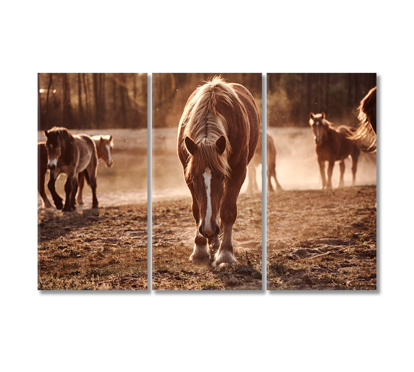 Stunningly Beautiful Herd of Horses Canvas Print-Canvas Print-CetArt-3 Panels-36x24 inches-CetArt
