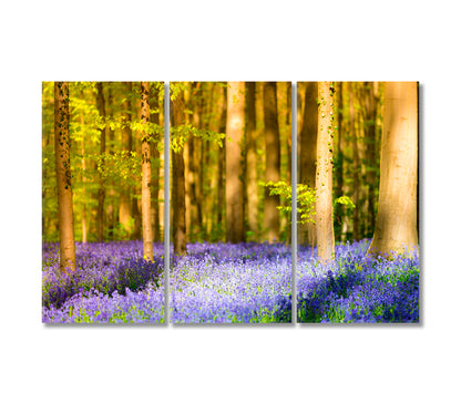 Hallerbos Beech Forest with Bluebells Flowers Canvas Print-Canvas Print-CetArt-3 Panels-36x24 inches-CetArt