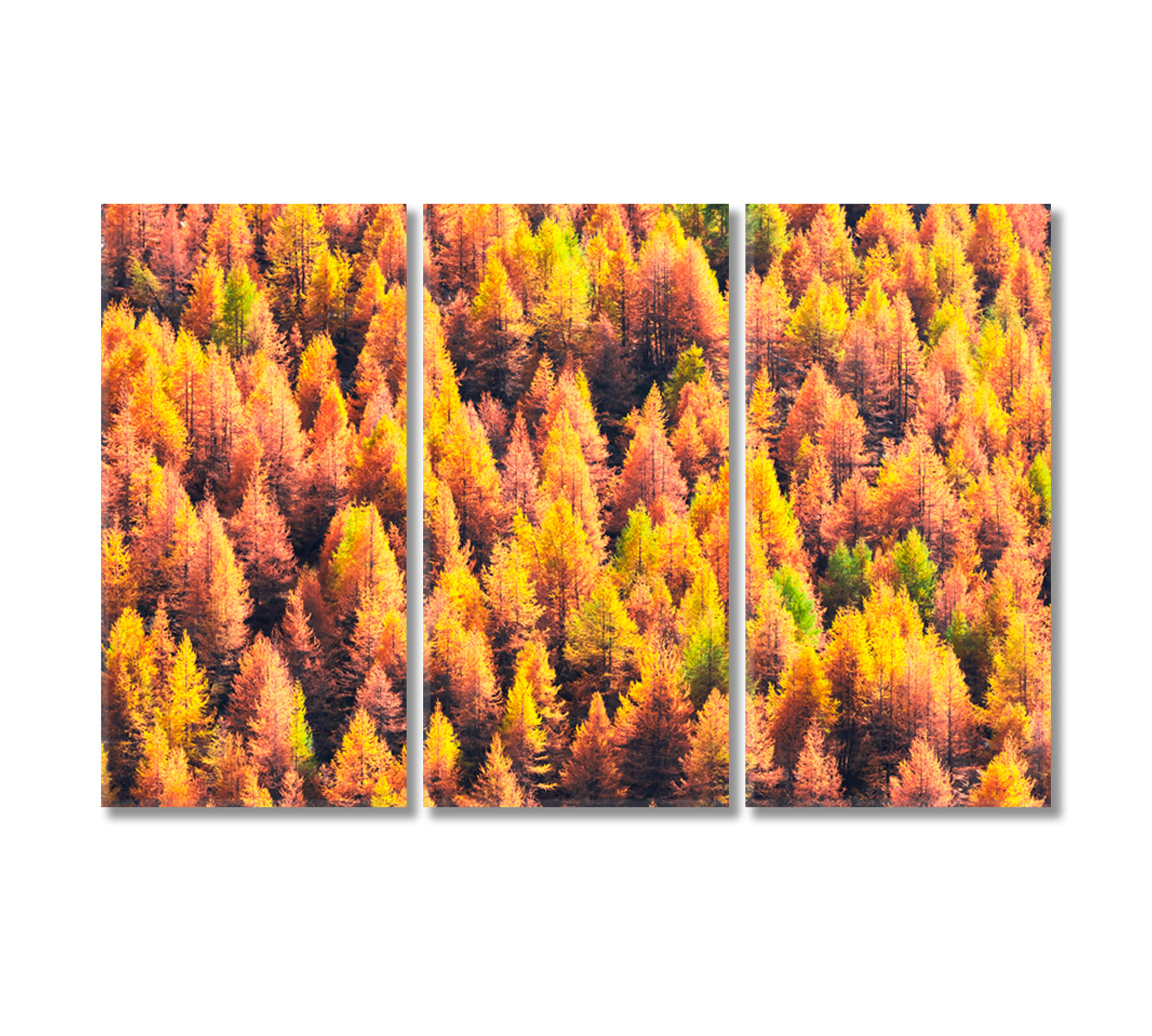 Beautiful Autumn Forest Swiss Alps Canvas Print-Canvas Print-CetArt-3 Panels-36x24 inches-CetArt