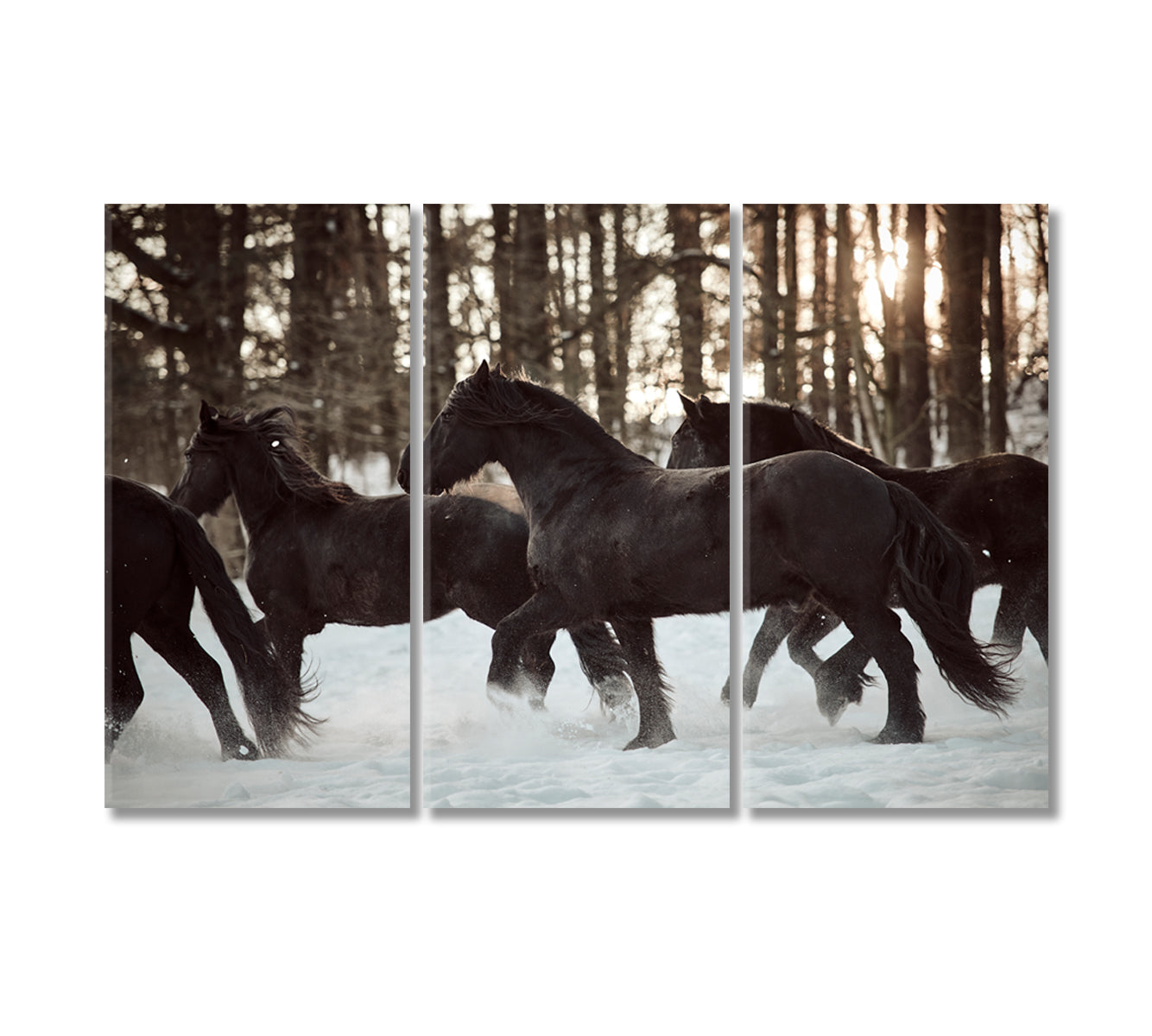 Friesian Horses Running in Winter Forest Canvas Print-Canvas Print-CetArt-3 Panels-36x24 inches-CetArt