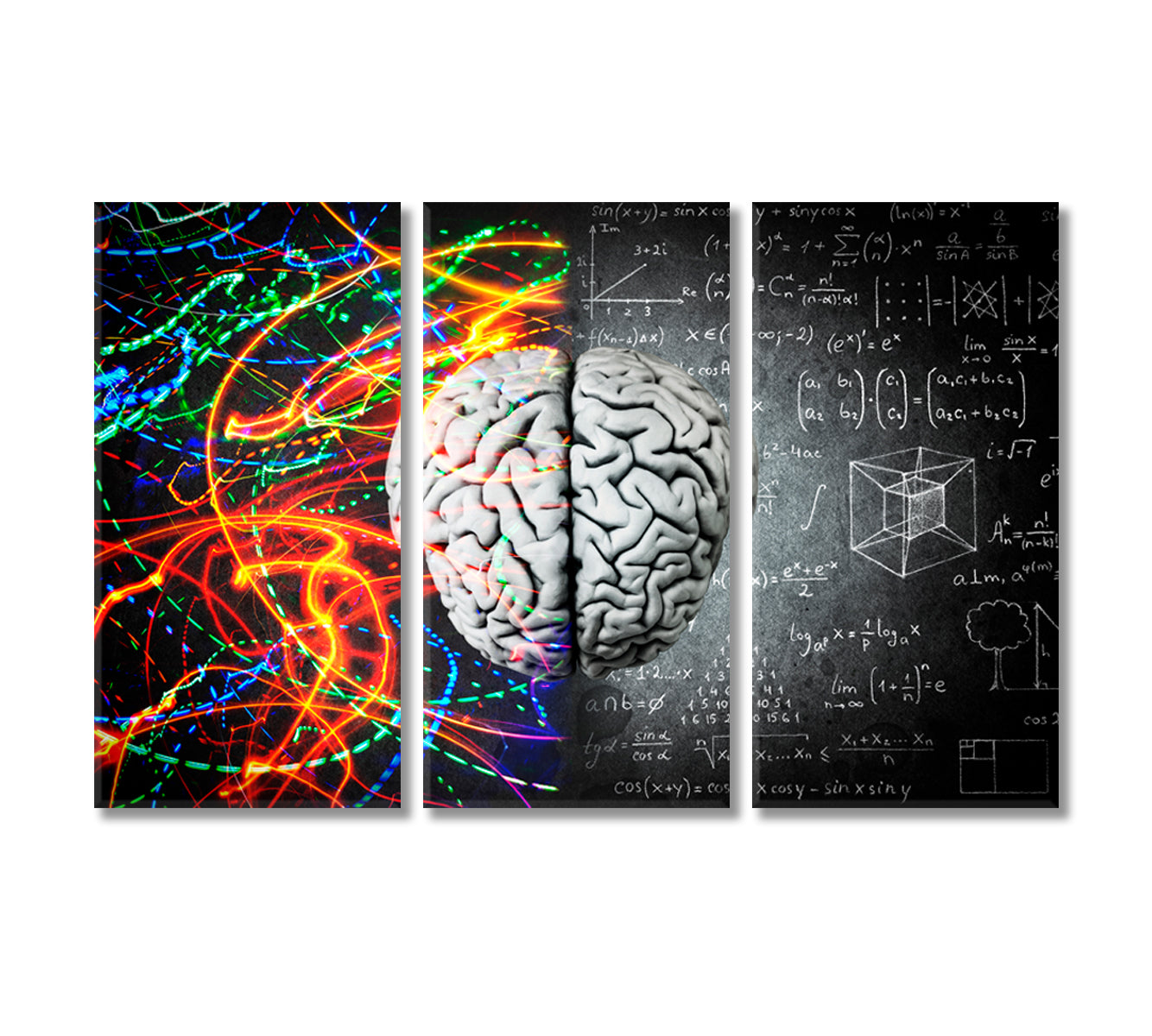 Left Brain Logical vs Right Brain Creative Canvas Print-Canvas Print-CetArt-3 Panels-36x24 inches-CetArt