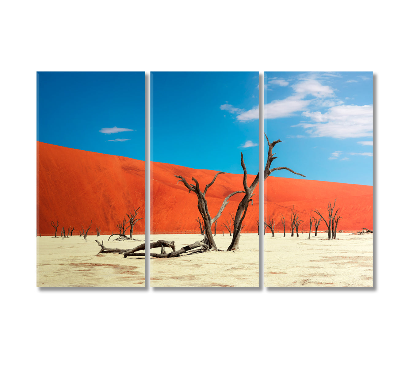 Red Dunes with Camel Thorn Trees Namib-Naukluft National Park Canvas Print-Canvas Print-CetArt-3 Panels-36x24 inches-CetArt