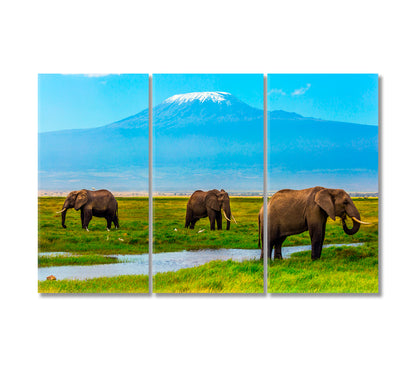 African Elephants at Mount Kilimanjaro Amboseli Reserve Kenya Canvas Print-Canvas Print-CetArt-3 Panels-36x24 inches-CetArt