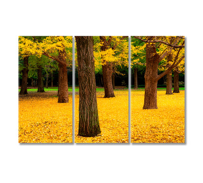 Yoyogi Park in Tokyo in Autumn Canvas Print-Canvas Print-CetArt-3 Panels-36x24 inches-CetArt