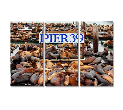 Pier 39 with Sea Lions San Francisco Canvas Print-Canvas Print-CetArt-3 Panels-36x24 inches-CetArt