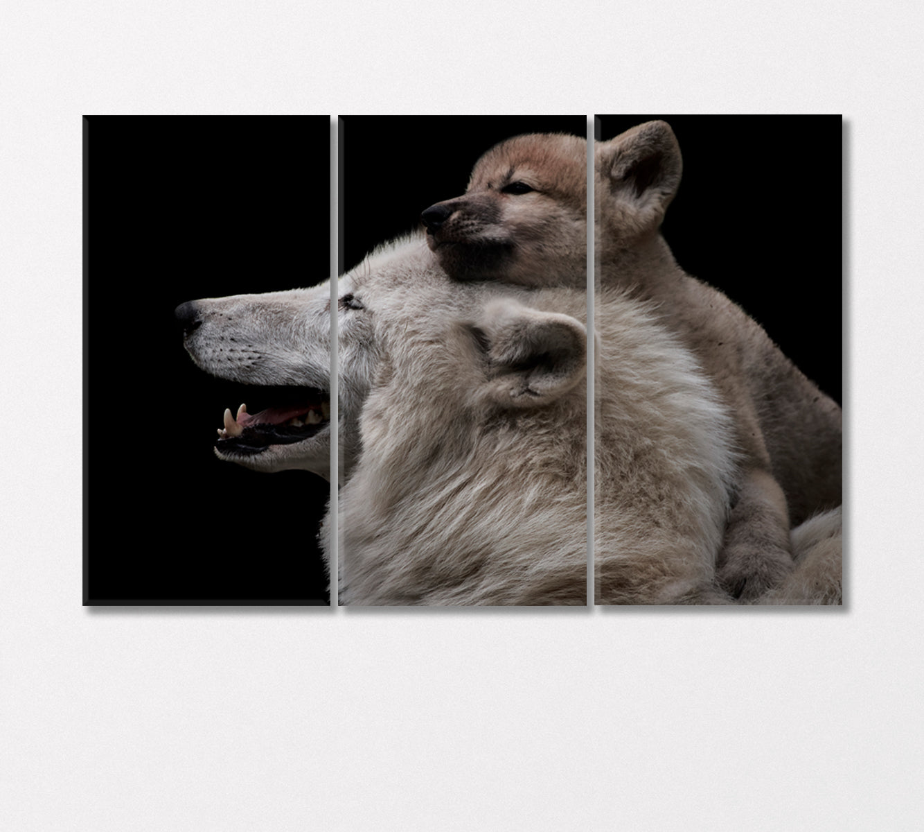 Arctic She-Wolf with Cub Canvas Print-Canvas Print-CetArt-3 Panels-36x24 inches-CetArt