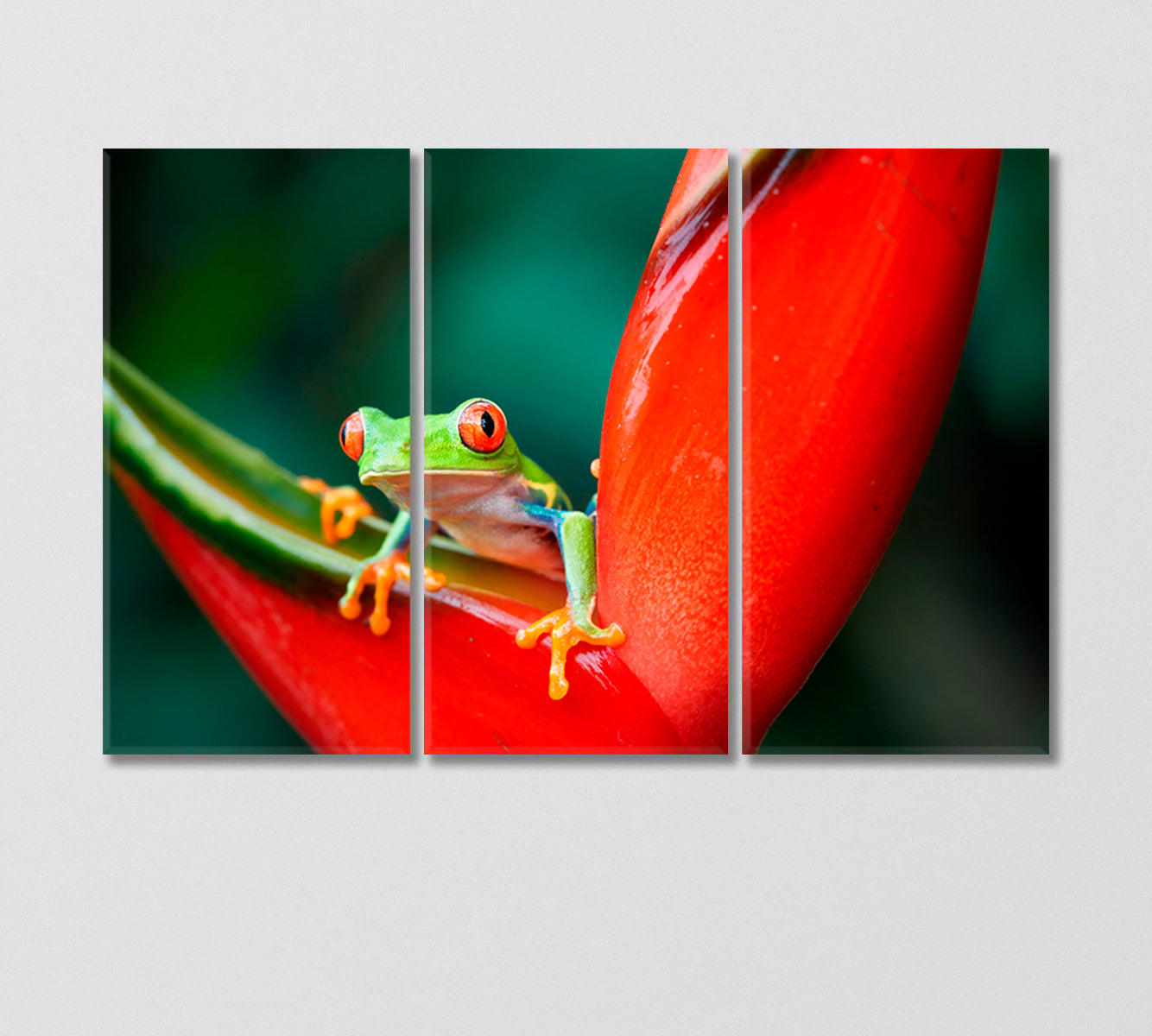 Little Tropical Frog on Heliconia Flower Canvas Print-Canvas Print-CetArt-3 Panels-36x24 inches-CetArt