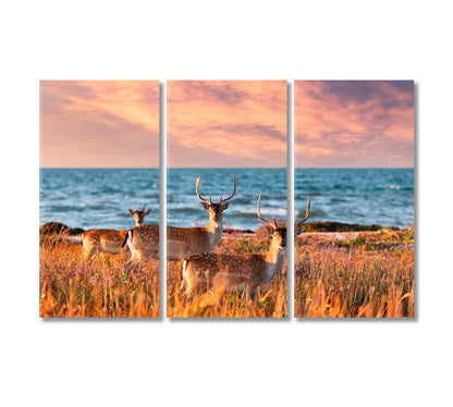 Sea Landscape with Sika Deer Family Canvas Print-Canvas Print-CetArt-3 Panels-36x24 inches-CetArt