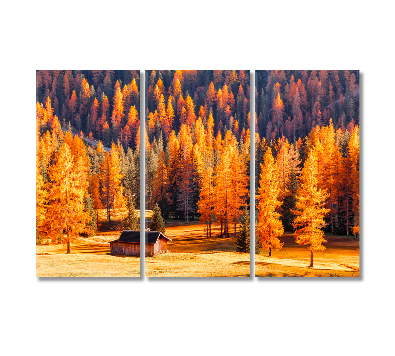 Wooden House Surrounded by Autumn Dolomites Trees Canvas Print-Canvas Print-CetArt-3 Panels-36x24 inches-CetArt