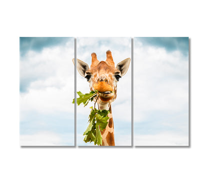 Giraffe Eating Leaves Canvas Print-Canvas Print-CetArt-3 Panels-36x24 inches-CetArt