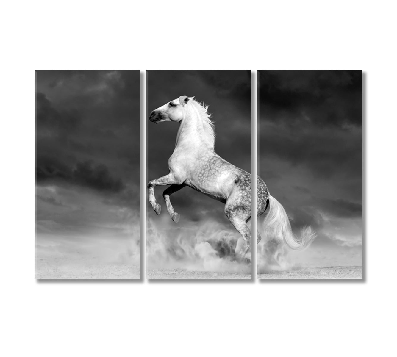 Fabulous White Horse Canvas Print-Canvas Print-CetArt-3 Panels-36x24 inches-CetArt