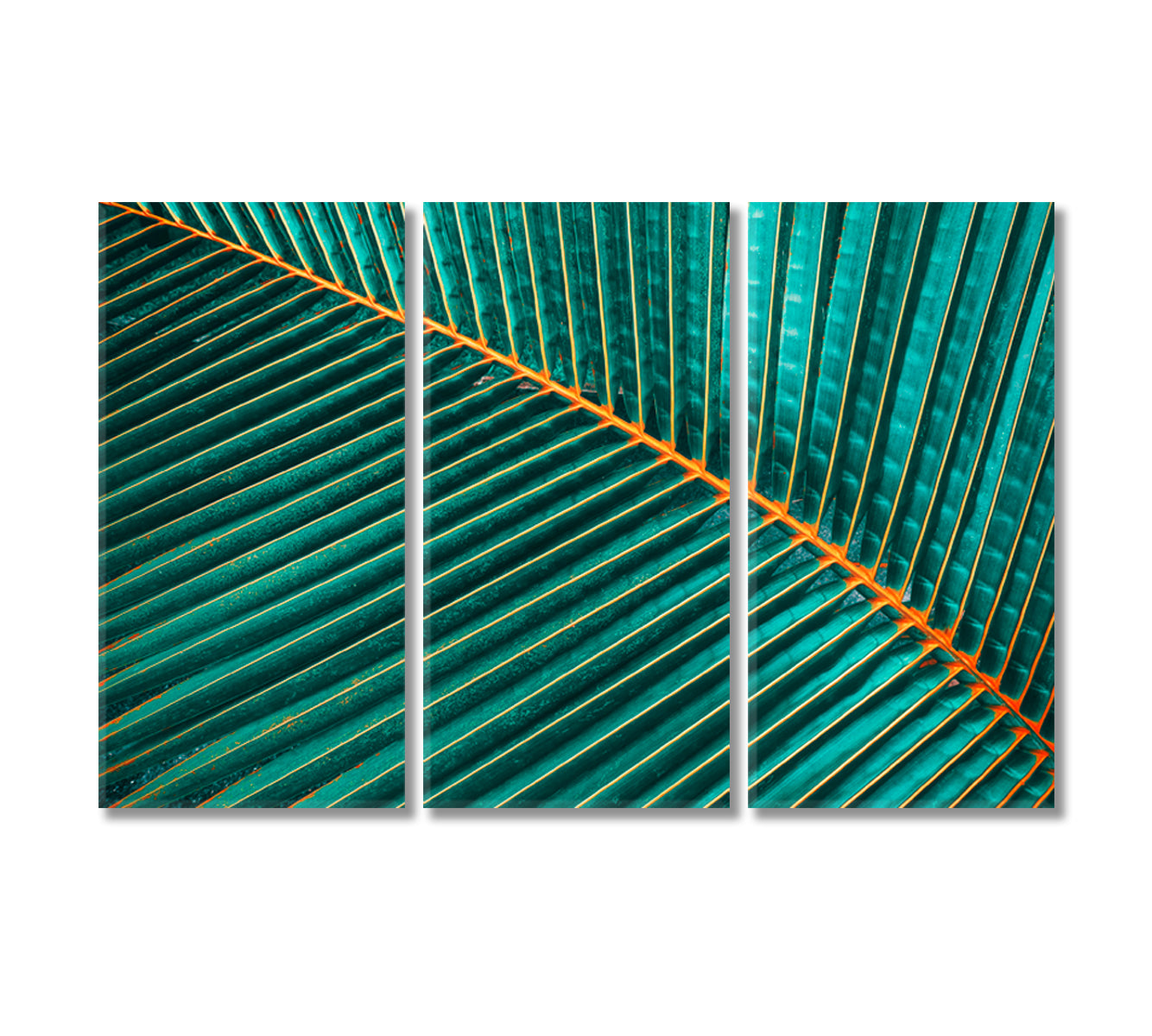 Tropical Palm Leaf Canvas Print-Canvas Print-CetArt-3 Panels-36x24 inches-CetArt