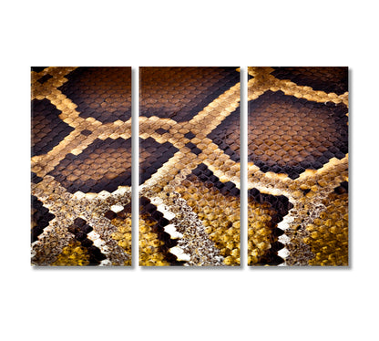 Python Snake Canvas Print-Canvas Print-CetArt-3 Panels-36x24 inches-CetArt