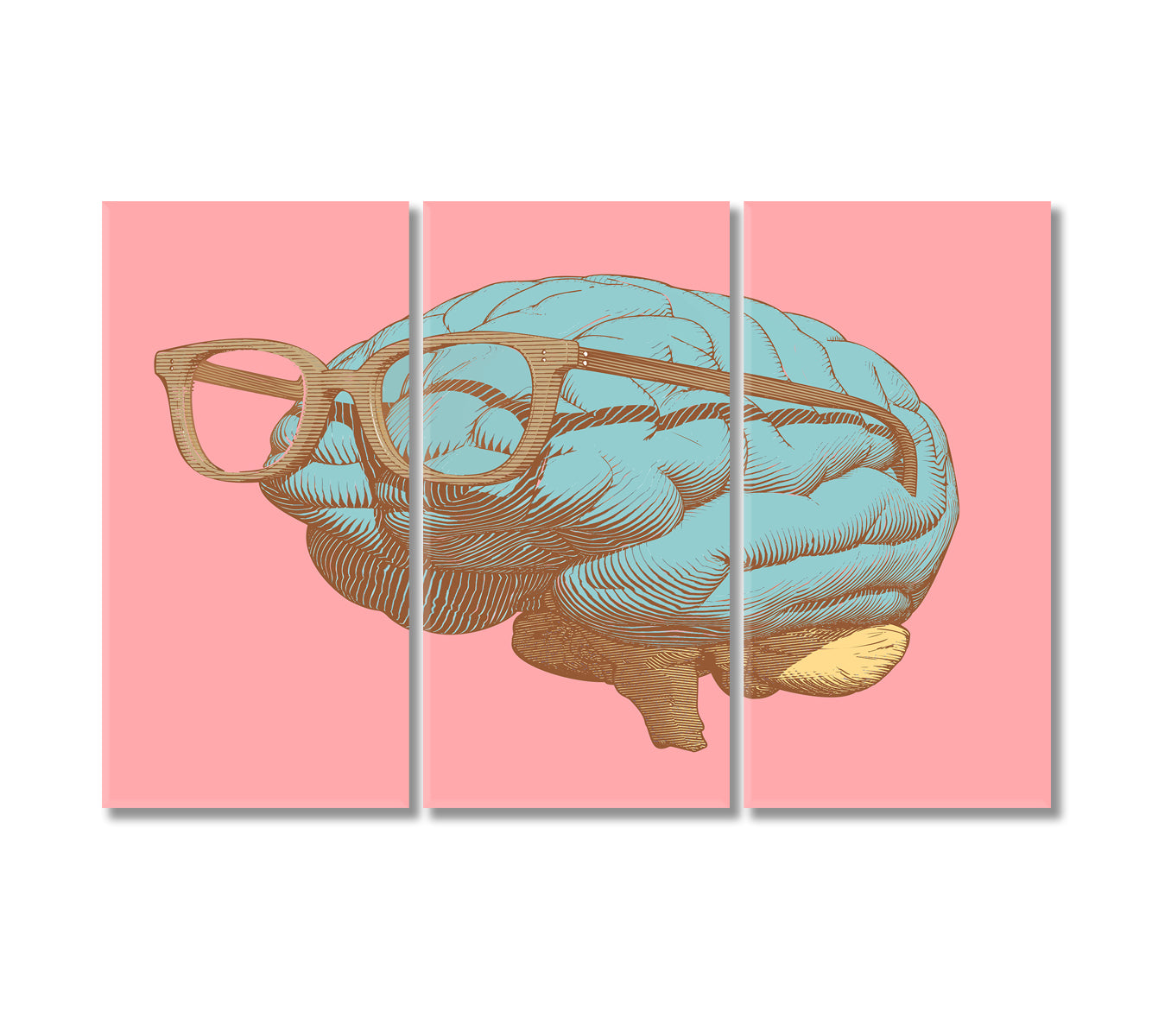 Brain with Glasses Canvas Print-Canvas Print-CetArt-3 Panels-36x24 inches-CetArt