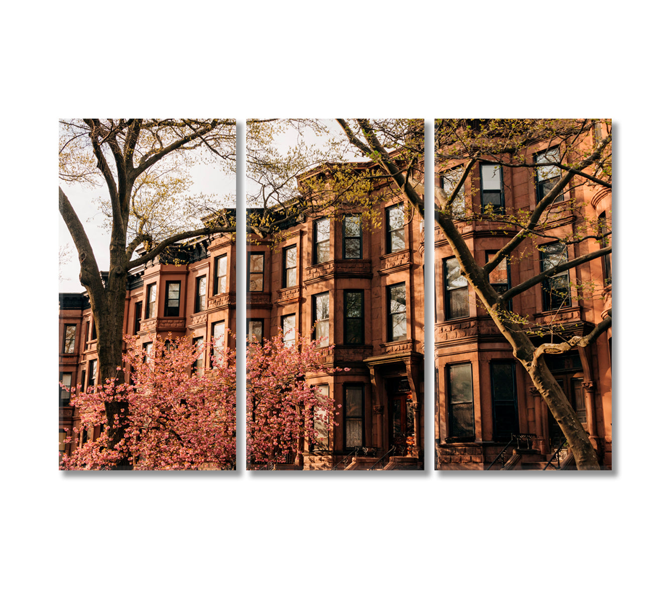 Brownstones in Park Slope Brooklyn New York City Canvas Print-Canvas Print-CetArt-3 Panels-36x24 inches-CetArt