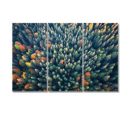Yellow and Green Autumn Trees in Colorful Forest Canvas Print-Canvas Print-CetArt-3 Panels-36x24 inches-CetArt