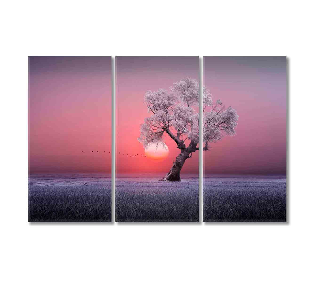 Lonely Tree at Beautiful Sunset Canvas Print-Canvas Print-CetArt-3 Panels-36x24 inches-CetArt