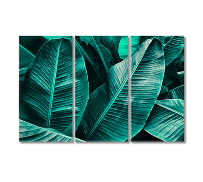 Large Palm Leaves Canvas Print-Canvas Print-CetArt-3 Panels-36x24 inches-CetArt