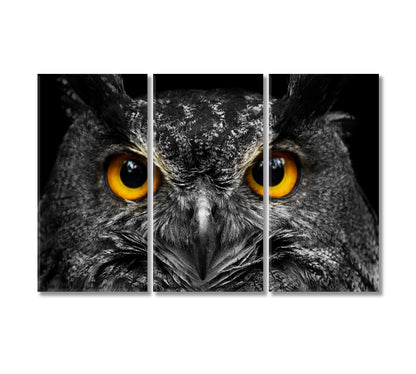 Owl in Black and White Canvas Print-Canvas Print-CetArt-3 Panels-36x24 inches-CetArt