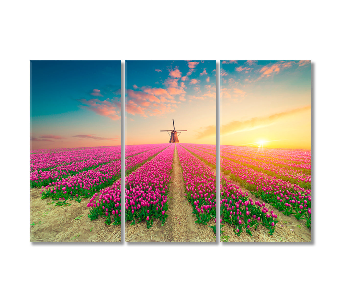 Windmill in Tulips Field Netherlands Canvas Print-Canvas Print-CetArt-3 Panels-36x24 inches-CetArt