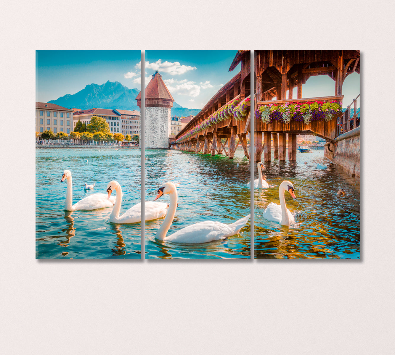 White Swans in River Royce Lucerne Switzerland Canvas Print-Canvas Print-CetArt-3 Panels-36x24 inches-CetArt