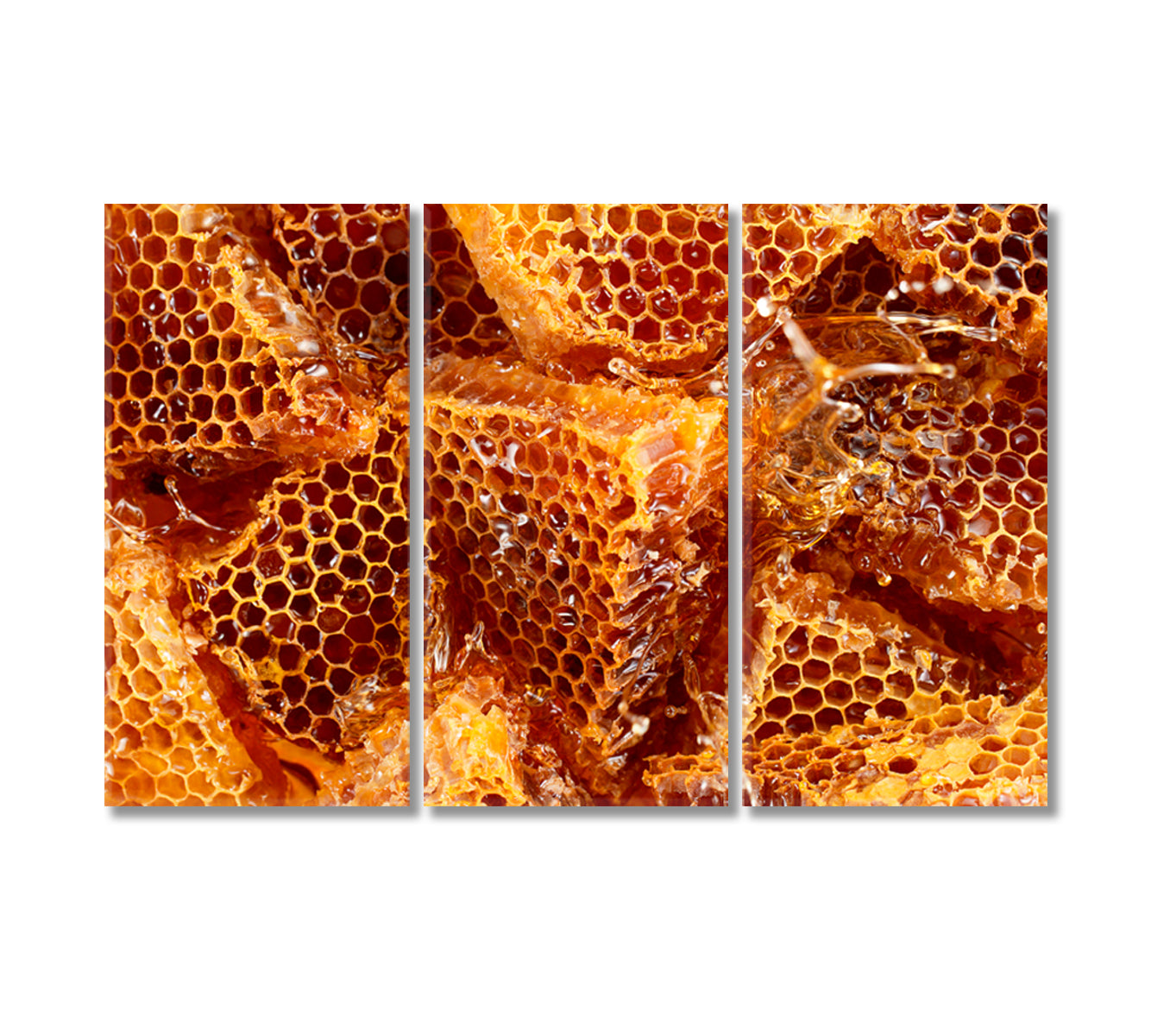 Honeycombs with Honey Canvas Print-Canvas Print-CetArt-3 Panels-36x24 inches-CetArt